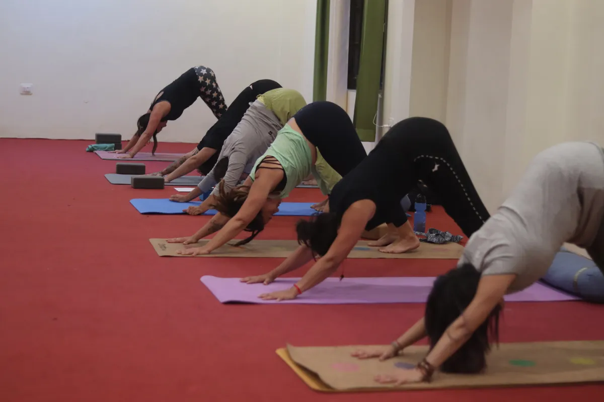 Yin yoga class folding forward over their mats during a session in Rishikesh