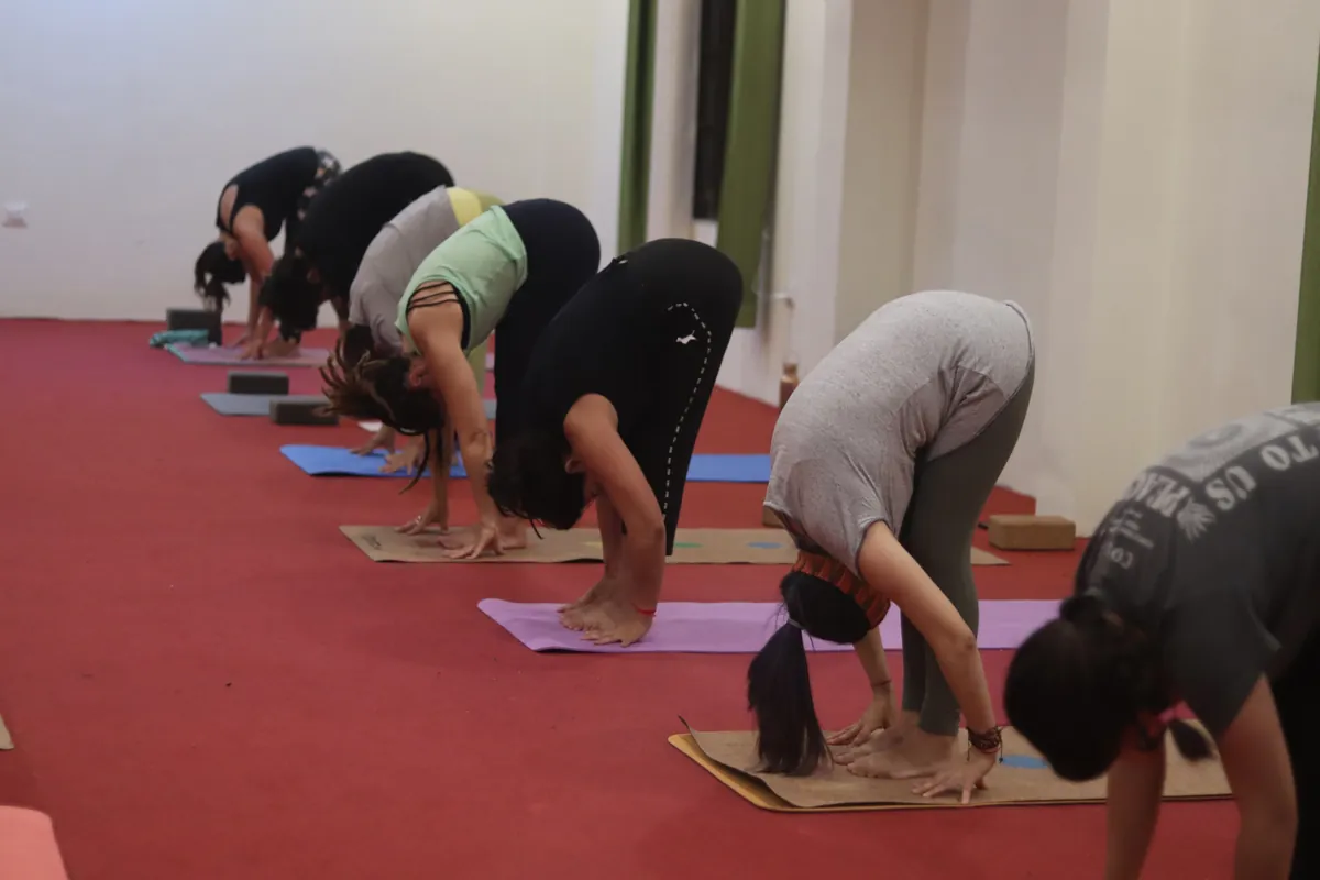 Yin Yoga Teacher Training in Rishikesh